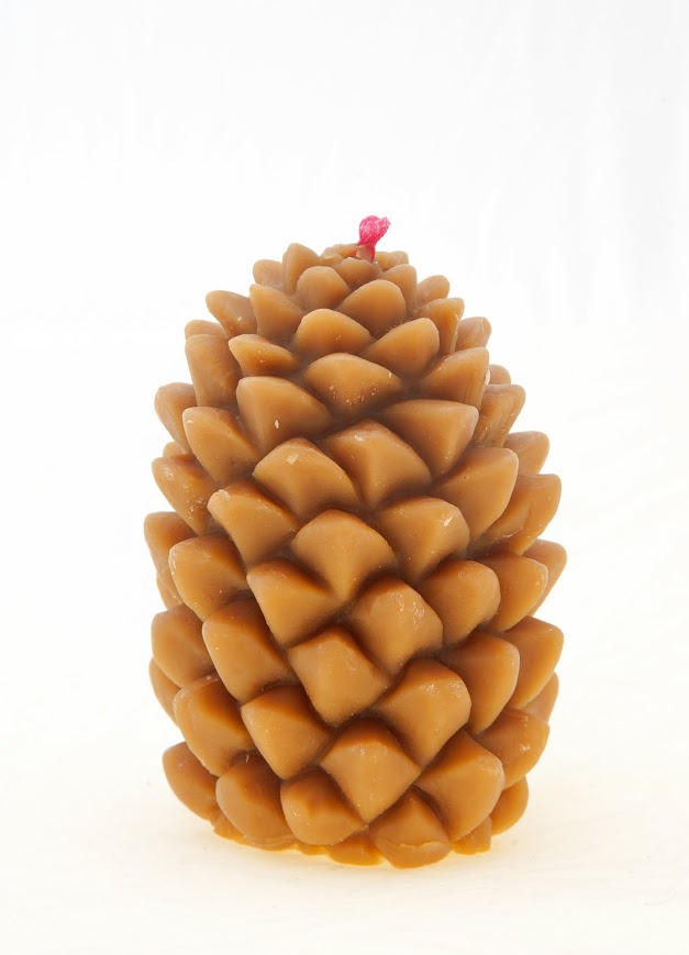 Шишка большая