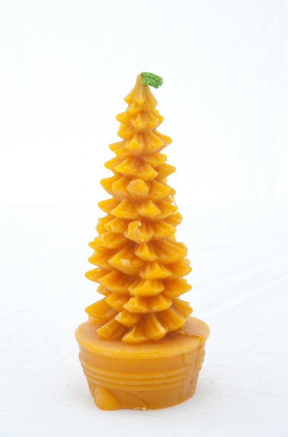 Ёлочка в кадке